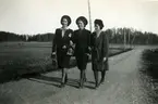 Dingtuna sn, Västerås kn, Skogsta.
Ingegerd, Sonja och Inga Maj Gustafsson (gift Carlsson), slutet 1930-talet.