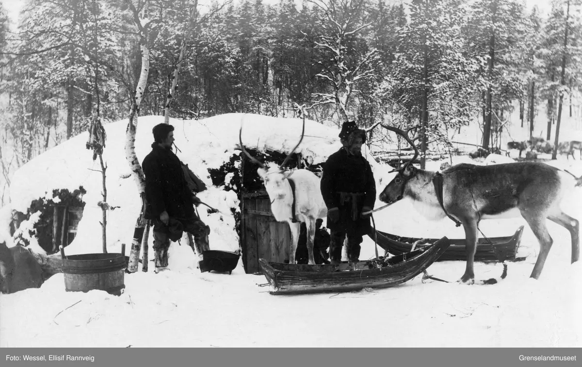 To menn med rein og slede utenfor en skoltesamisk gamme i Pasvik.