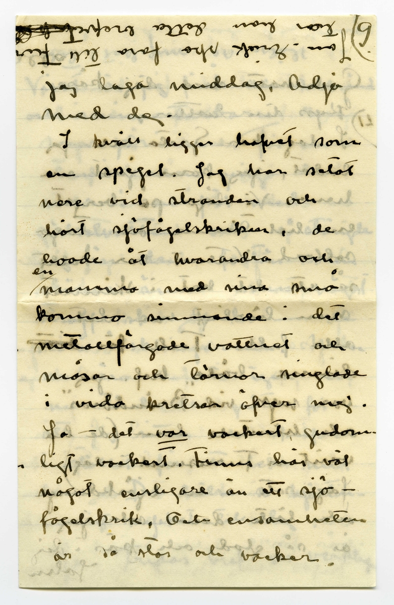 Brev 1909-06-20 från Ester Bauer till John Bauer, bestående av tolv sidor skrivna på fram- och baksidan av tre vikta pappersark. Huvudsaklig skrift handskriven med svart bläck. 
.
BREVAVSKRIFT:
.
[Sida 1]
Vidinge 20/6 09
Min älskade John
Det var tråkigt att jag
inte fick något bref från
dej då jag i fredags var
i Furusund. De foro 
inga regelbundna turer
ännu och gud vet om
de nånsin ämna göra
det. Midsommar afton
[överstruket: res] far Martin för att 
hämta sina systrar och
då får väl detta bref
följa med, sedan ska
.
[Sida 2]
de väl resa om ett
par dagar igen och då
hoppas jag få bref från
dej --- sen dröjer 
det kanske mycket länge
innan det går bud igen
men skrif i alla fall
man kan aldrig så noga
veta. I fredags lejde jag
Martin, han ville ha
2 kr. så att det blir för
dyrt att göra det ofta.
På hemvägen tog det till 
att blåsa ganska hårdt, jag
blef märkvärdigt nog 
rädd, jag som [inskrivet: de] aldrig
.
[Sida 3]
kunnat få rädd på
sjön förr. Det är skräcken
som jag fick då du seglade
med kanoten, särskilt
den där natten, som
jag vakade och väntade
på dej, det var storm
och jag trodde aldrig
att jag skulle få se dej
mera. Den skräcken
sitter i mej ännu.
Då du kommer hit ut
John – så skrif en 
lång tid förut så [överstruken bokstav] att
jag hinner få brefvet och
vara och hämta dej i
.
[Sida 4]
segelbåt, lofva mej det.
Ibland om nätterna
drömmer jag om att du 
är i sjöfara, jag förstår
inte hvad det är med
mej.----- De små ligga
på golfvet i solstrimman
och sofva nu. De binda
mej [överstruket ord] hos sej, jag kan
ju inte gå ifrån dem
jag vill inte stänga dem 
inne i den mörka ladan
så länge solen skiner.
De äro så olika hvarann.
Spinken har ett mycket
jämt lynne, alltid drum
lig och älskvärd, men
.
[Sida 5]
[överskrivet: 4 och 5]
Gruffan är som alla
af det högre stående
könet, djupare och out-
grundlig. Hon kan sitta
långa stunder och stirra
tankfullt framför sej,
men därimellan kan hon
vara yster och vild att
man med knapp nöd
kan rädda henne från
att kasta sej i sjön, för
den älskar hon och hon
vill narra Spink med
sej ut i vattnet, men
han är klokare än så
för vatten är han 
mycket rädd för, som
.
[Sida 6]
det väl också bör vara.
Spink I var ju alltid
så rädd för vatten.
I sina ystra ögonblick
narrar hon Spink till
så mycket odygd men
när hon har sina grubb-
lande tankar verkar
hon lugnande på honom
Ja – så låter han, som
allt manfolk så gärna
vill, leda sej af en 
liten kvinna. Men
ändå gruffar och grälar
han ibland, för att
vi inte ska tro att
det är han som lyder.
.
[Sida 7]
Ack ja, de manfolken.
Martin är den rödaste
socialist. Han trakterar 
mej alltid med de mäst
hårresande historier om
hur grymt elaka alla
arbetsgifvare äro och 
hurdana englar alla
arbetare äro. Då jag
säjer att alla äro vi
mer eller mindre
arbetare och att vi i
regel alltid har någon
långifvare, tycks han
inget förstå, det enda
han förstår tycks vara
.
[Sida 8]
[inskrivet: att] ämbetsmännen ha för
stora löner och att
alla grosshandlare äro
roffare. Men trots allt
skulle han vilja låna
pengar och lära och ta
studenten för att bli
en af dessa hatade äm-
betsmänn. Ja – det är
synd om honom. Han
är kypare och det vill
han inte vara, kanske
det är af sådant stoff
de värsta socialisterna
komma. Nu vakna
de små och tugga på
mattan och så ska
.
[Sida 9] 
[Längst upp över sida 9 och 12 text upp och ner: Jon-Erik ska fara till Fur---
tar han detta brefvet [överstruket ord] samt ett g eller siffran 9, alt. siffran 6 upp och ner]
jag laga middag. Adjö
med dej.
I kväll ligger hafvet som
en spegel. Jag har setat 
nere vid stranden och
hört sjöfågelskriken, de
hoade åt hvarandra och
[inskrivet: en] mamma med sina små
kommo simmande i det
metallfärgade vattnet och
måsar och tärnor singlade
i vida kretsar öfver mej.
Ja – det var vackert, gudom-
ligt vackert. Finns här väl
något ensligare än ett sjö-
fågelskrik, Och ensamheten
är så stor och vacker.
.
[Sidan 10]
[Längst upp sista ordet i en mening som börjar på sidan 11 skriven upp och ner: alla. I marginalen är inskrivet LI eller 17 upp och ner]
God natt med dej käre
Kyss din Esther.
I dag har Greta och jag
badat, jag kom just nu
hem. Vi lågo på berget
en hel timme och togo
solbad. Vattnet var kallt
så att det bet i skinnet
men härligt var det i
alla fall. Tack för [överstruket: ditt]
dinna båda bref. jag
var nyss vid ”Brändöras”
och hämtade dem (de ha
varit i Furusund i dag)
Jag satt i en björkdunge
och löste dem och jag
är så glad och kär i dej
John
.
[Sida 11]
[längst upp på sidan 11 och 10 skrivet upp och ner: Helsa så mycket till alla]
Visst är jag frisk och solbränd
och mina taxbarn må
som prinsar. För en
stund sedan gingo de
ner i en pöl med
gödselvatten och så stängde
jag in dem fastän solen
skiner ännu men något
straff ska de ha --- de
små älsklingarna. Men
nu äro de ute igen och 
nu stå de och gråta för
att jag sitter och skrifver
i stället för att leka med 
dem. De hälsa så hjärtin-
nerligt mycket til dej.
Ja – Fridas bref är verkligen
.
[Sida 12]
[längst upp på sidan skrivet upp och ner en text som är skriven över sidorna 9 och 12: [sida 9: Jon-Erik ska fara till Fur /sida 12: usund i morgon och då /sida 9: tar han detta brefvet /sida 12: med. Adjö med dej Johnne]
karaktäristiskt för henne,
jag skall skrifva och äckla[?]
henne och till Åbergs [not: kan även stå Öbergs]
skall jag också skrifva
en vacker kväll och det
äro ju alla här ute.
Men John, hvad jag länk-
tas efter dej min egen käre
John hvad jag då skulle
kyssa din munn och kry-
pa upp i din famn. Ack ja
---- men du kommer ju
snart eller hur? Jag är
så glad åt dej. Lille Spinken
hälsar särskilt till dej, han
blir allt mer och mer lik
vår förre lille Spink..
Kyss mej min egen käre
John