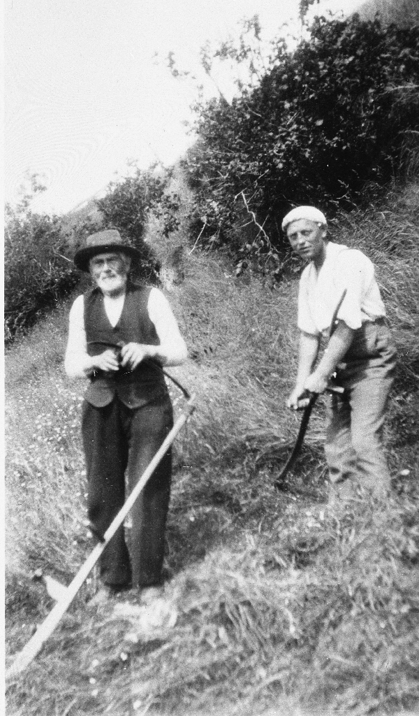 Eivind E. Tjensvoll og sonen Nils Tjensvoll i slåtten med langorv.