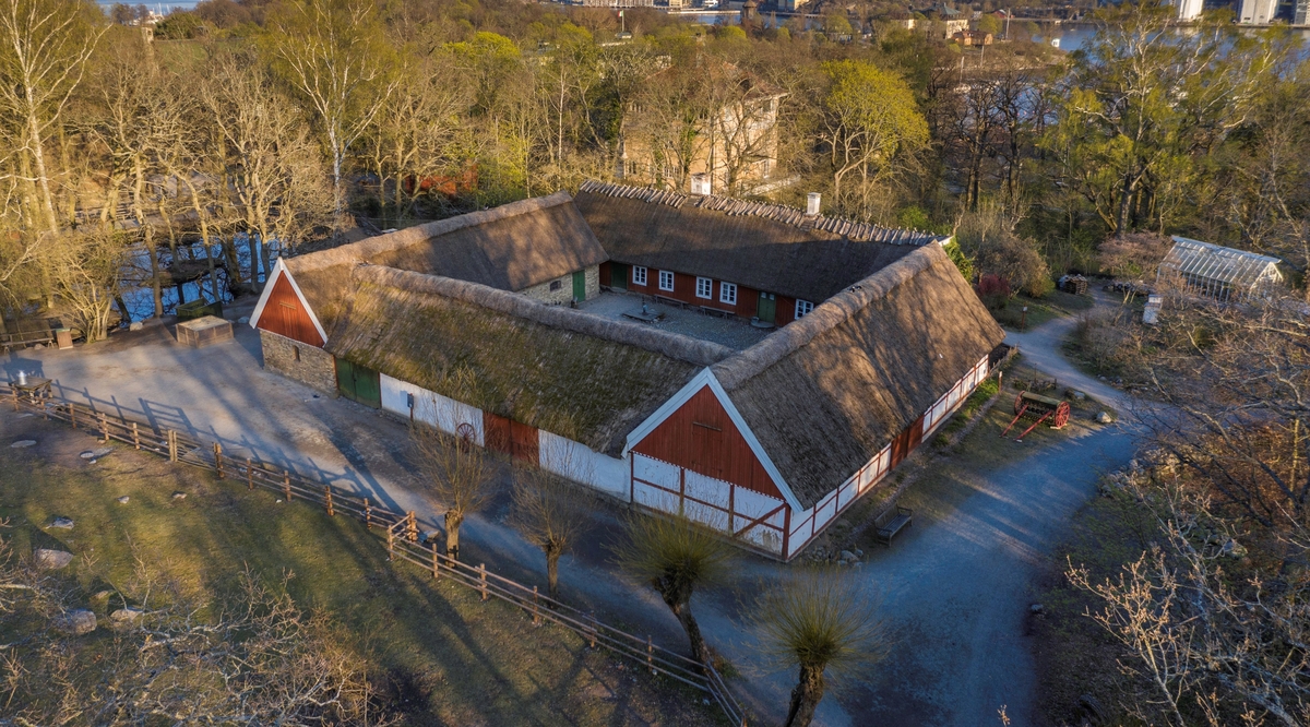Skansens skånegård flyttades i sin helhet från Högs socken i västra Skåne under åren 1974-1977. Gården är kringbyggd med en gårdsport i den norra delen. Gårdsplanen är satt med natursten. På Skånegården finns en boningslänga, två loglängor samt en stallänga. I söder, utanför den kringbyggda gården ligger trädgården. Byggnaderna är ursprungligen uppförda under 1700- och 1800-talet.