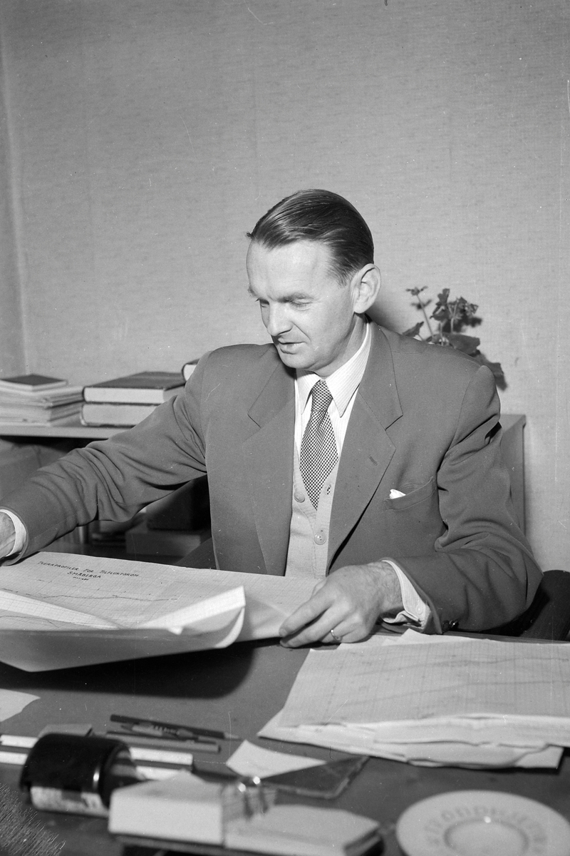 Bygartner Ottar Qvenild