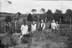 Hesjing på Tjensvoll ca 1921