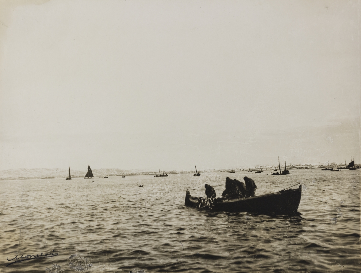 Vårsildfiske omkring 1900. Haugesund og Karmøy i bakgrunnen