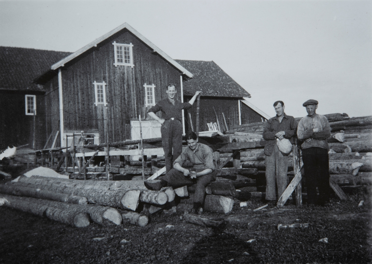 Skjæring av tømmer til ny-fjøset på på Kjøs, 81/1. Bildet er fra rundt 1936.