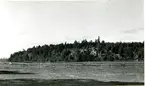 Kärrbo sn, Solvik.
Gärdesgård, bergsknalle med skog i bakgrunden.