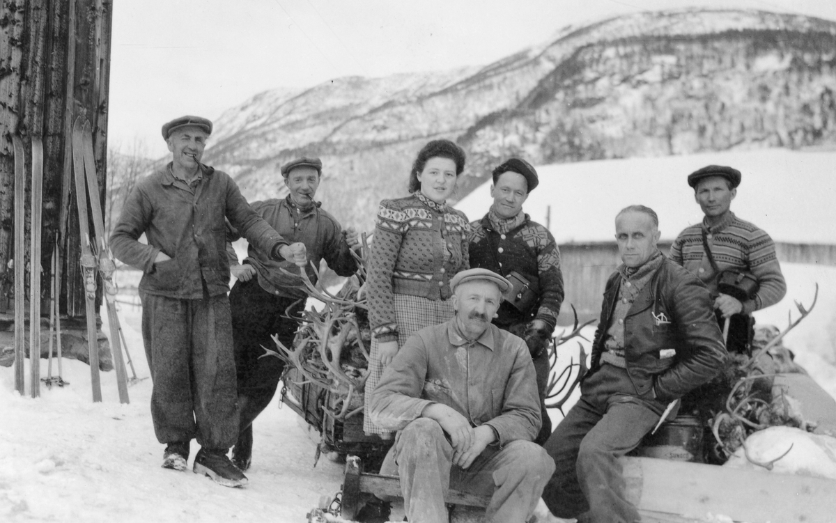 Arbeidslag under kjøring av slakt og horn ned til veien ved Utstuggu-Hoel.