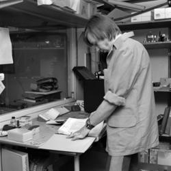 Eko Livs på Bergsgatan, lagerarbete.