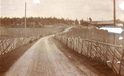 Gamle Kongsbergvei  "Sølvveien"