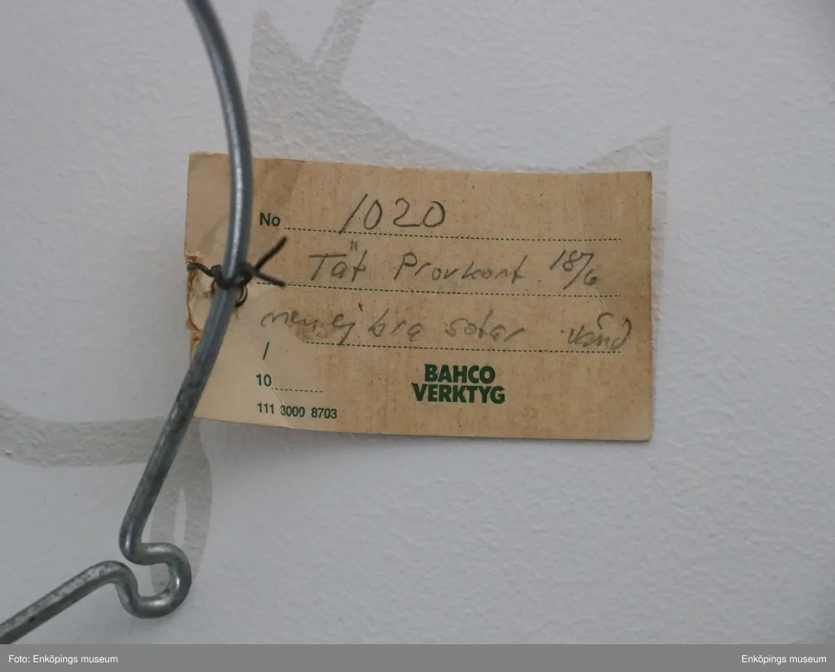 Fotogenlampa