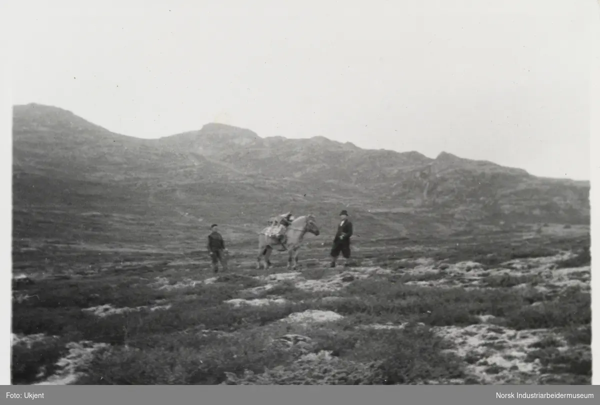 To menn i fjellet med fjordhest som transporerer bagasje og varer