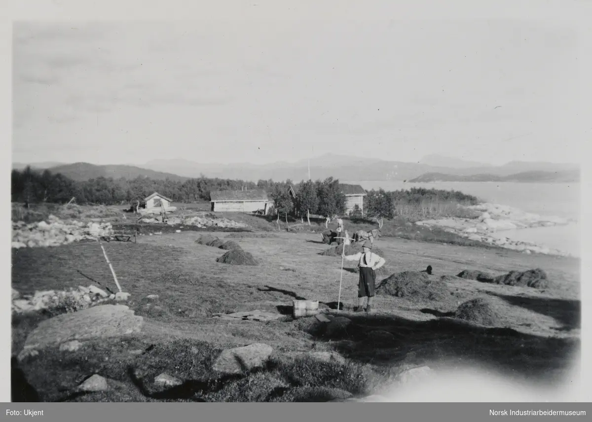 Slåtten, gårdsarbeid, sanking av høy