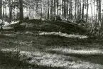 Trumslagarbacken, Västerås.
Forngrav i Trumslagarskogen, 1933.