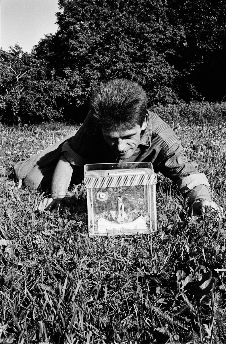 Man ligger i gräset och tittar på en transparent låda, Uppland, 1965