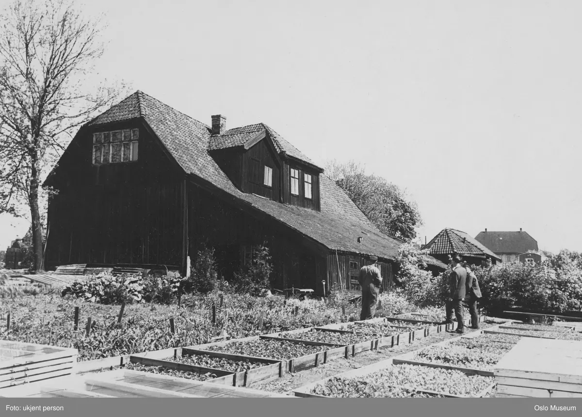 kulturlandskap, arklåve, plantekasser, menn, Saxegården