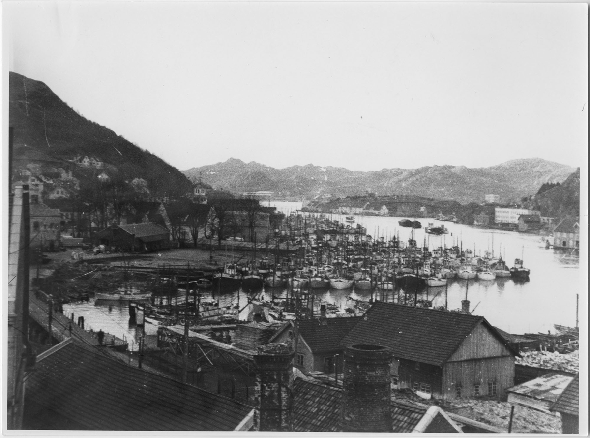 Sildeflåten i Egersund Havn