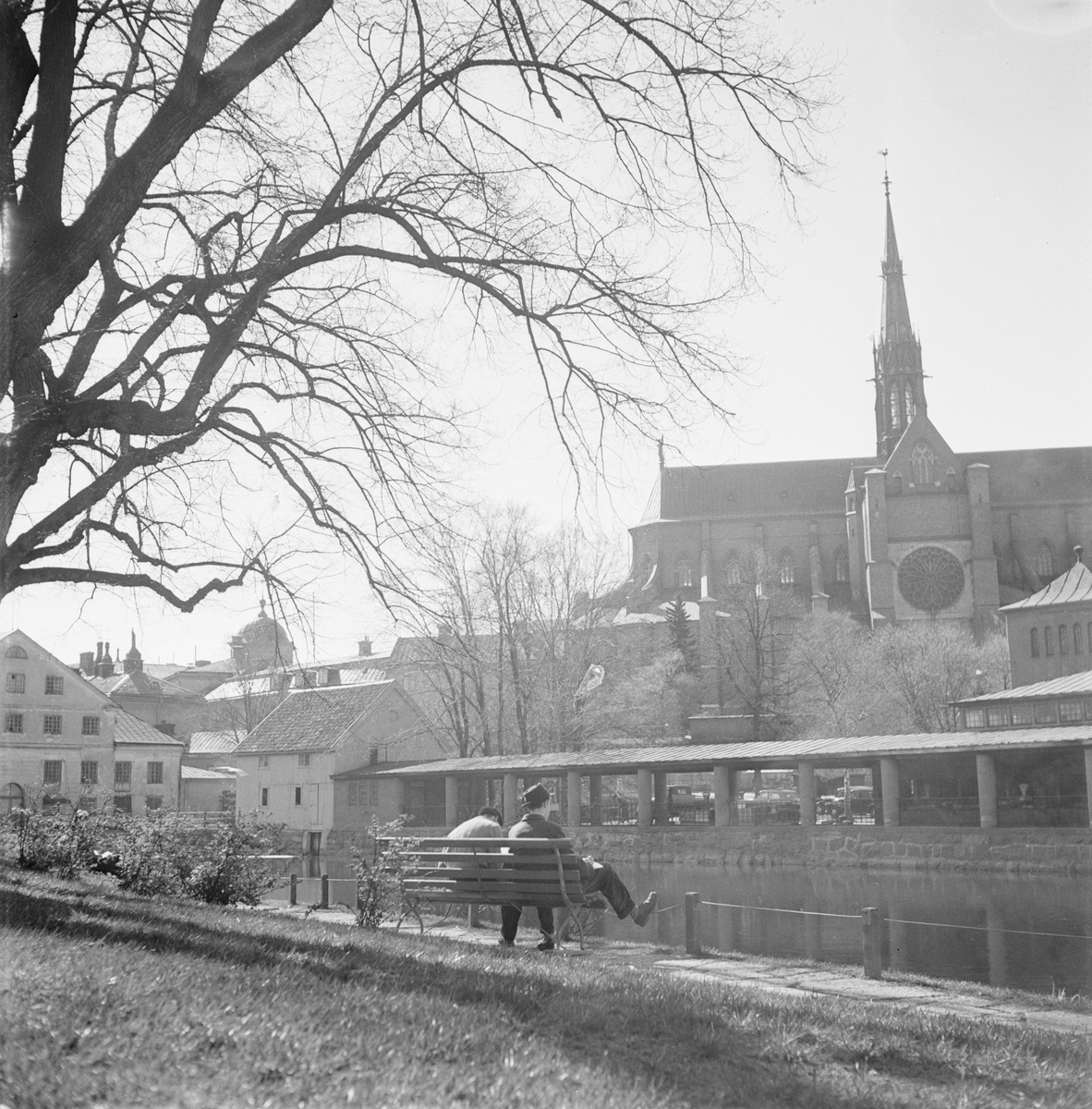 Vy över Fyrisån mot Saluhallen och Uppsala domkyrka, Uppsala 1953