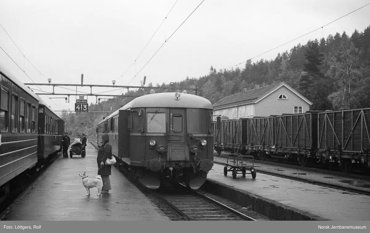 Styrevogn BFS 8668 og dieselmotorvign BM 9110 med persontog til Arendal på Nelaug stasjon