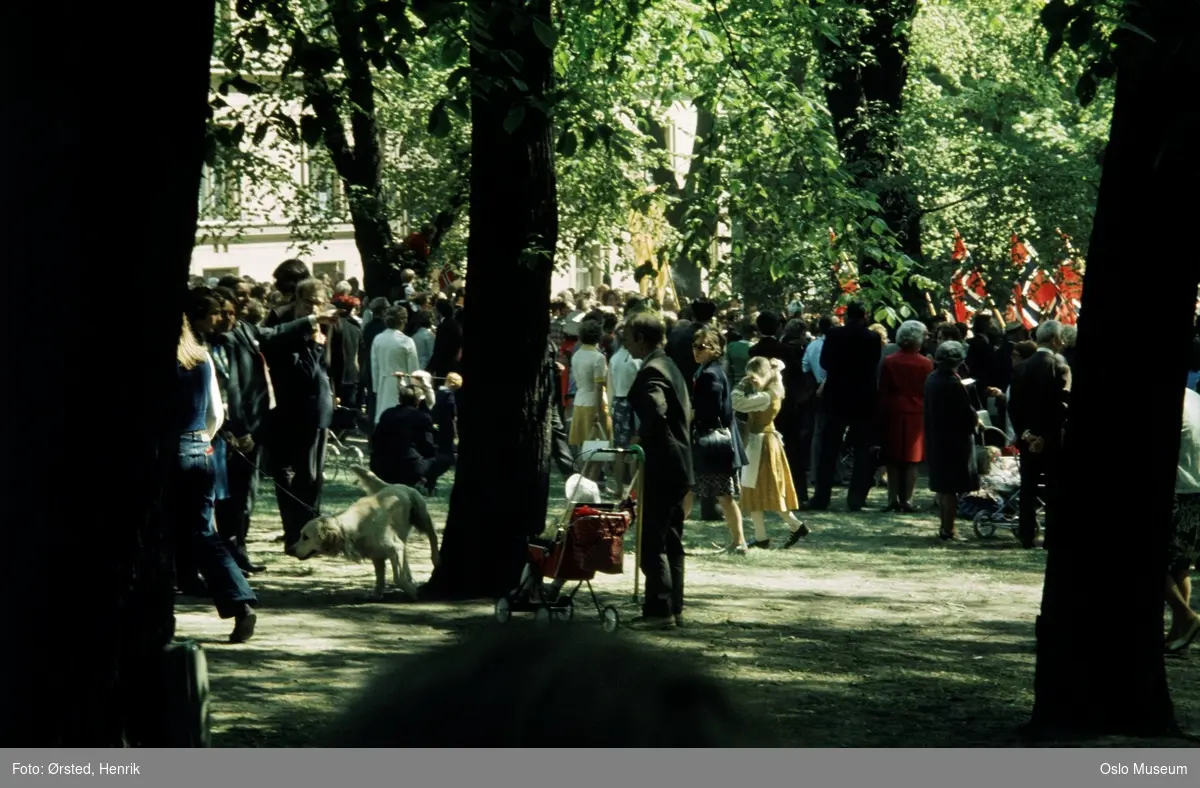 park, mennesker, 17. mai-feiring, barnevogner, hund