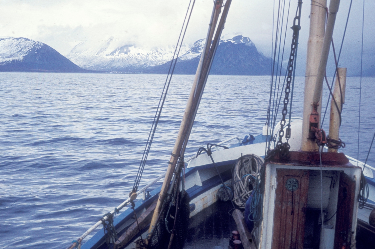 Flakstadvåg, 1976 : Bilde tatt ombord i en båt, utsikt mot land.
