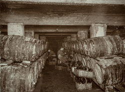 Håndtapping i P.A. Larsens vinkjeller. 
Håndtapping og korki