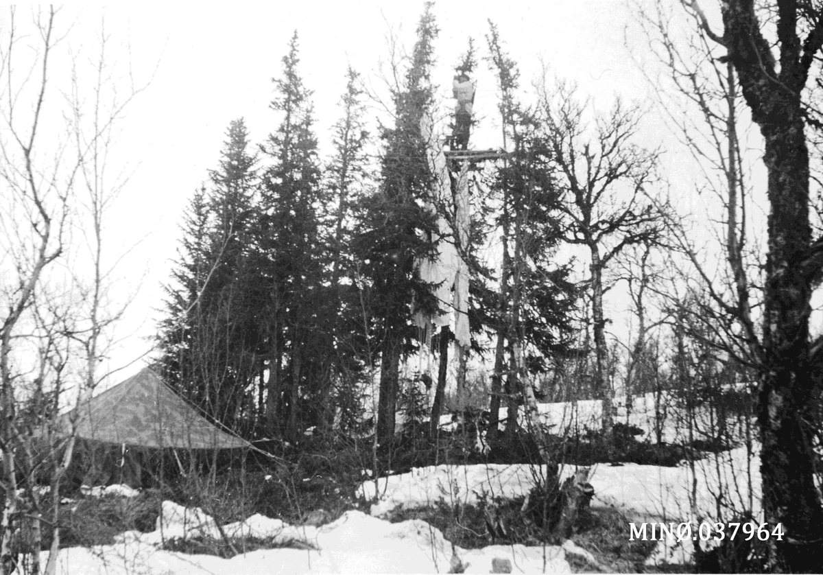 Grebe Red-medlem i vakttårn ved Ruudshytta.