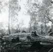 Stensättning, anläggning nr 59, Rönnby, Västerås. 1970.