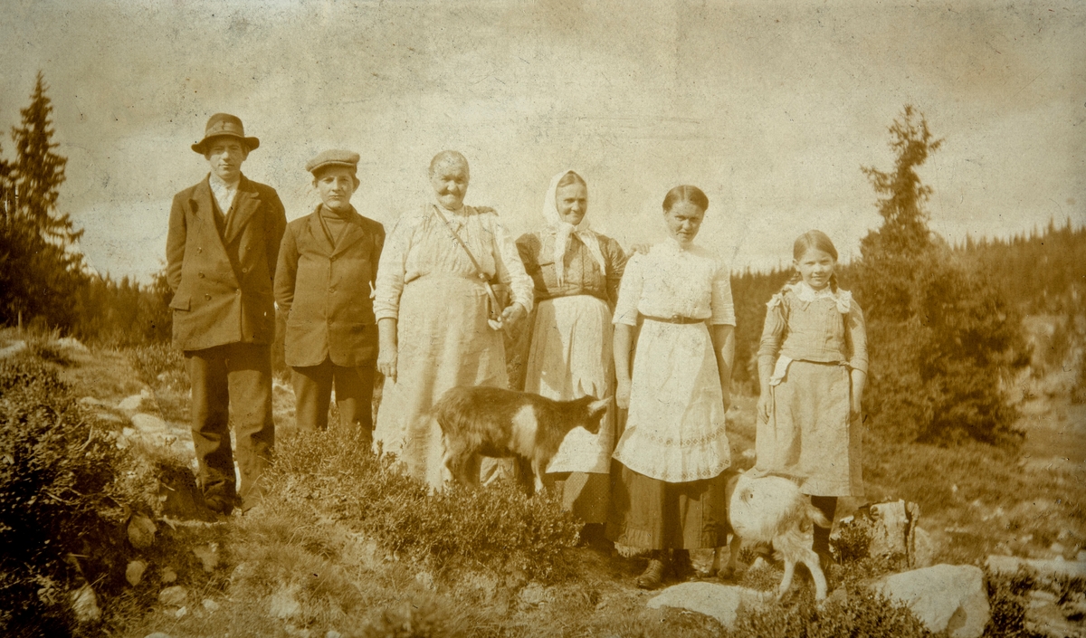 Gruppe 6. Nordvisetra i Åmot. F.v. ukjent, Erling Andersen 1894-1945, Syverine Holen 1846-1931, ukjent, ukjent, ukjent. Syverine var budeie ved Nordvie i Ottestad.