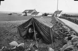 Tyske soldatar i telt på vestre Løge i 1942.