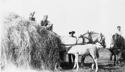 Høyonn på Mossige i 1937.