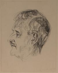 Dr. Karl Wilhelm Wefring  [Litografi]