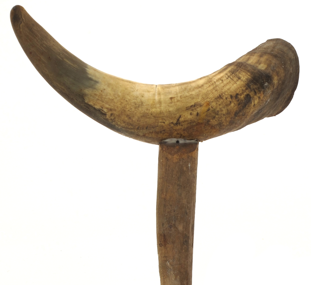 Horn tettet med kork i åpen ende, innfelt pinne for feste i båtripa.