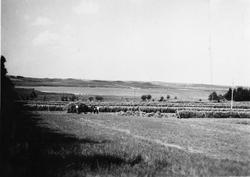 Heskjer og kjøring av høy. Frøylandsvatnet og Netlandstangen
