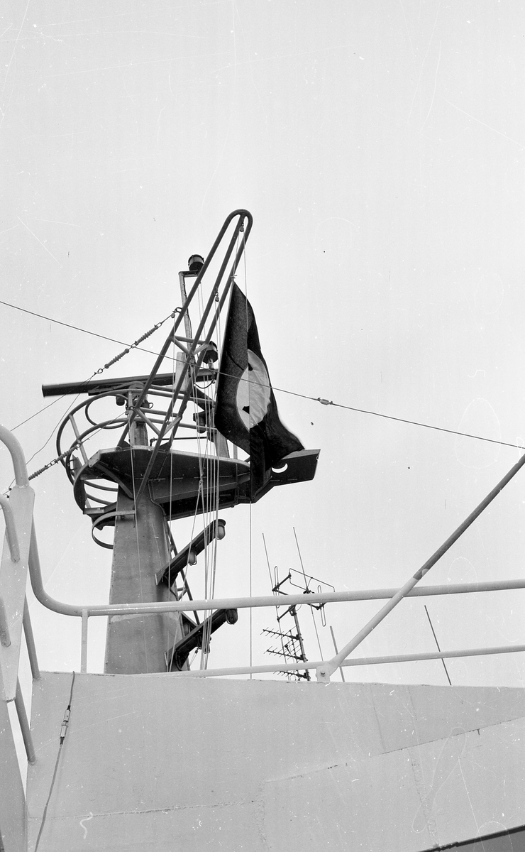 Portrett. M/S Cape Horn ved kai på H.M.V. En folkemenge samlet for å se på skipsdåpen. Taler og overrekkelse av blomster etc. Musikk-korps til stede. Foto fra feiringen på kvelden i etterkant av dåpen. Foto fra Haraldshallen der folk bader. Bestilt av H.M.V.