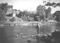 Laxfiske vid Garvareforsen, Ätran.