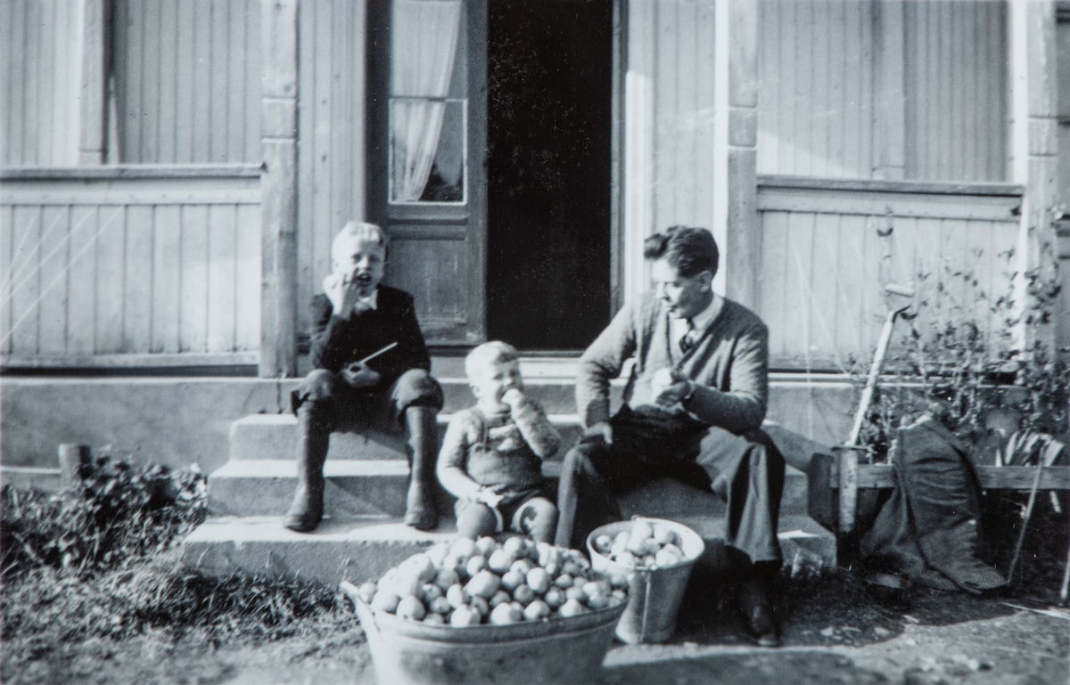Ringnes skole, Nordbygda, Løten. Gr. 3, Arild Moe, Tore Moe og Einar Moe sittende på trappa med masse epler.  Eplehøst fra hagen ved skolen. Lærerene hadde egne trær som de kunne plukke epler fra.