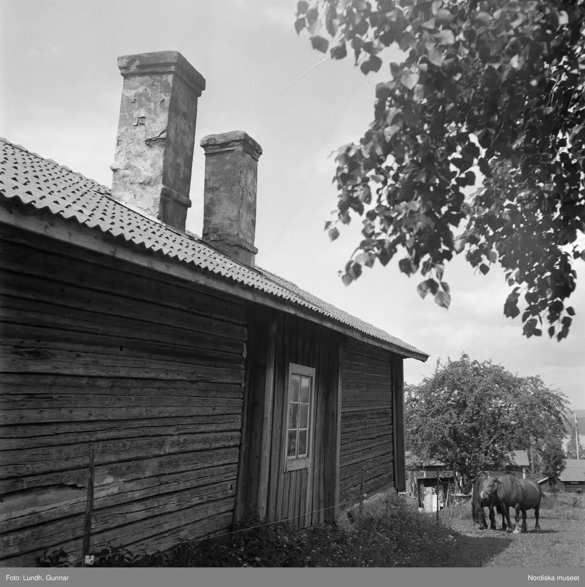 Motiv: (ingen anteckning) ;
En man borstar tänderna vid en bäck, två kvinnor och en man sitter på marken vid ett hus, exteriör av ett hus, två flickor vid en gårsgård, porträtt av en kvinna och en man som står på en äng "Fru Ljungbeck o Frans G. Bengtsson Långbergsgården" (författaren Frans G Bengtsson).