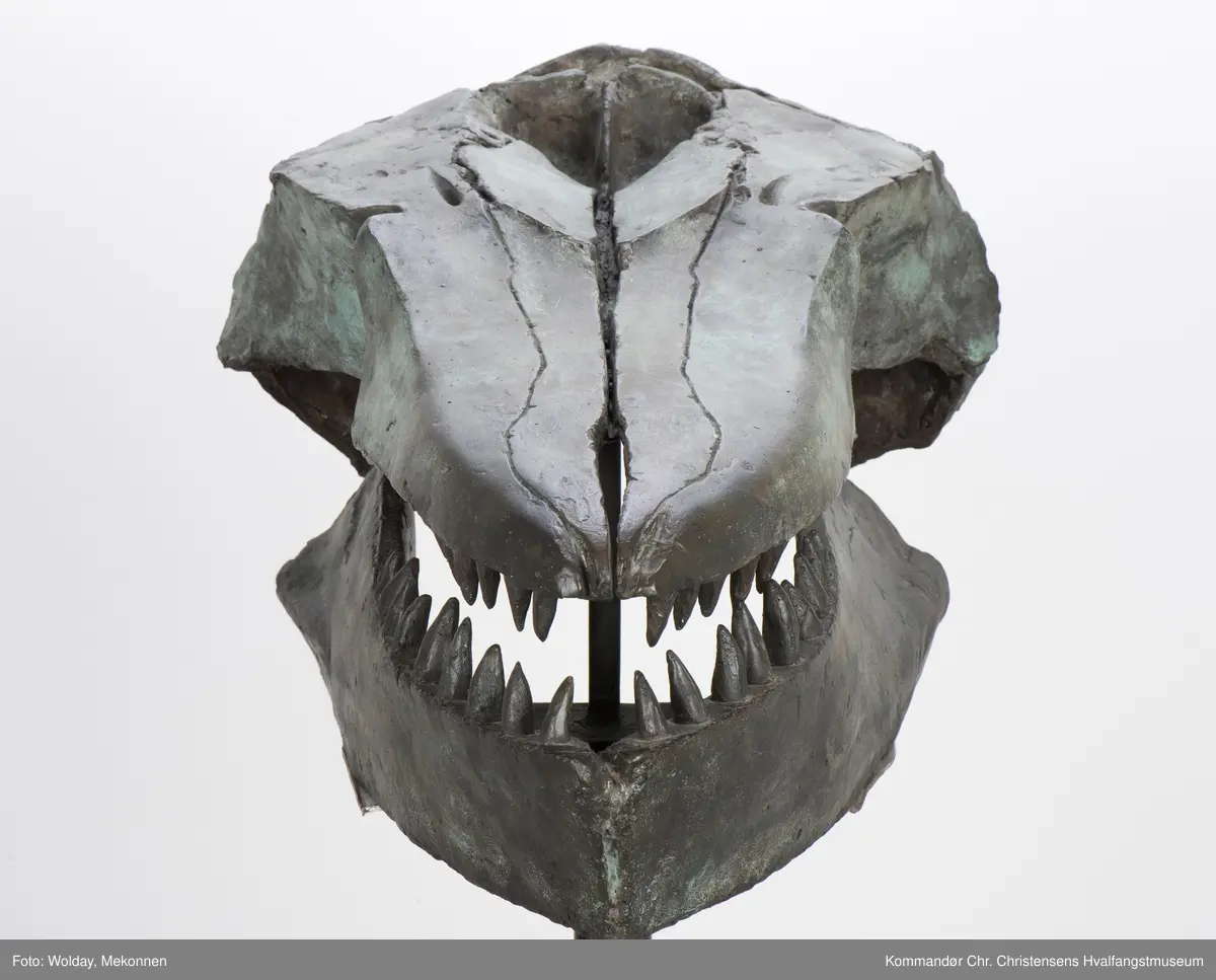 Hvalkranium  - spekkhogger "Skalle II". Skulptur på søyle.