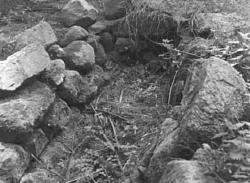 BRÅTGRAV FÖR LINHANTERING ?


Tillv.tid: 1968
Övriga nr: 
Re