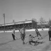 Slockande stjärnor, bandy.
27 januari 1959.