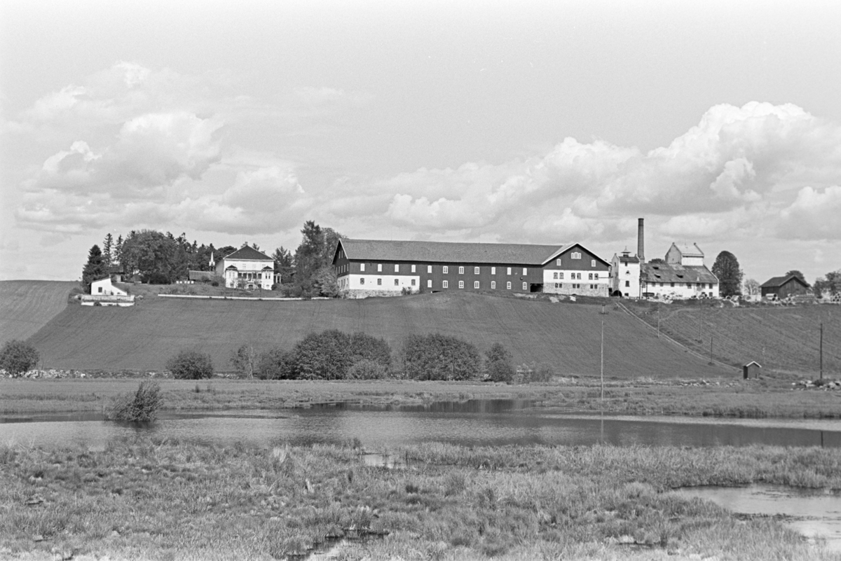 Sælid gård, Åkersvika, Vang H.