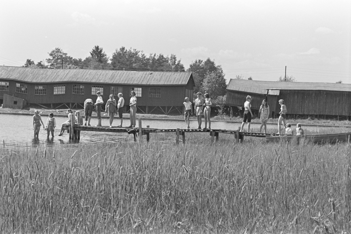 Åkersvika, badeliv, tømmerflåte, ungdom, brygge, Åker bruk, sagbruk, Vang H.