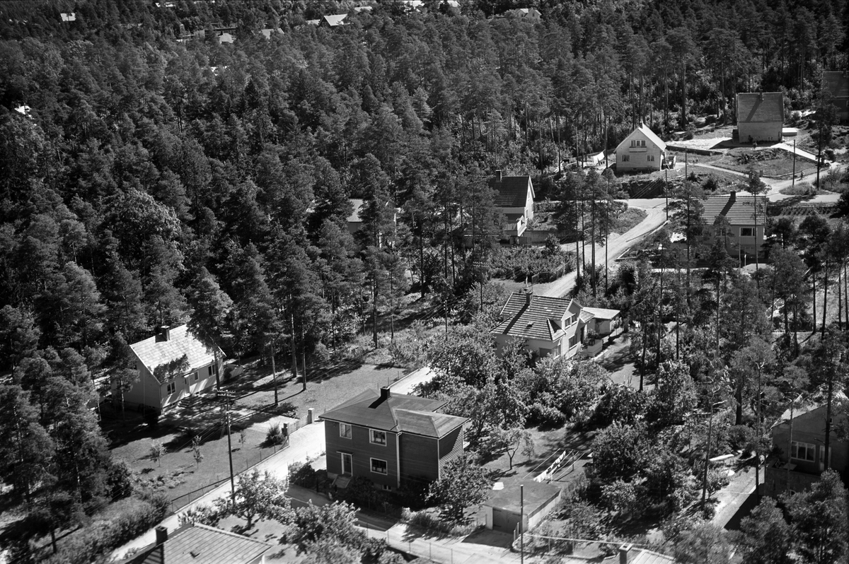 Flyfotoarkiv fra Fjellanger Widerøe AS, fra Porsgrunn Kommune. Øyekast. Fotografert av J. Kruse 08.08.1959.