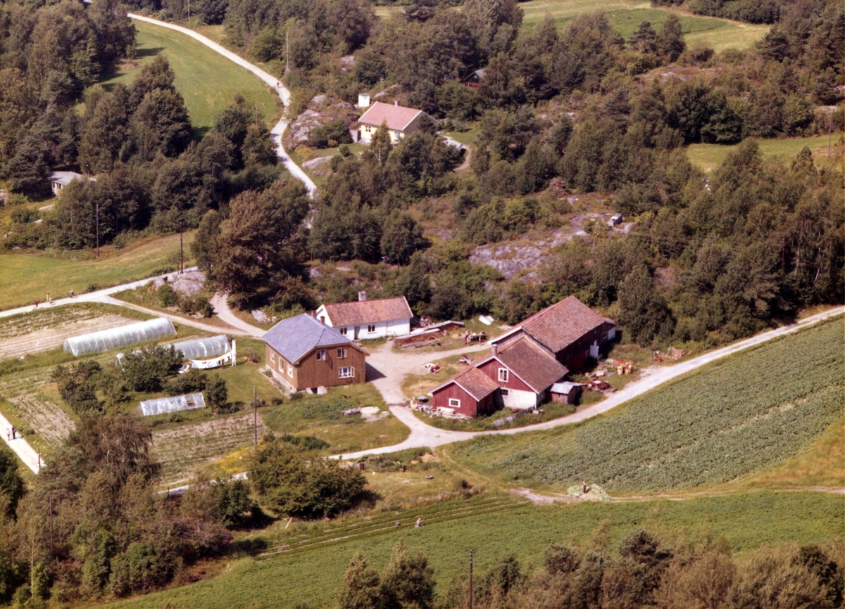 Flyfotoarkiv fra Fjellanger Widerøe AS, fra Porsgrunn Kommune, Sandøyen Gård, Sandøya. Fotografert 24.07.68