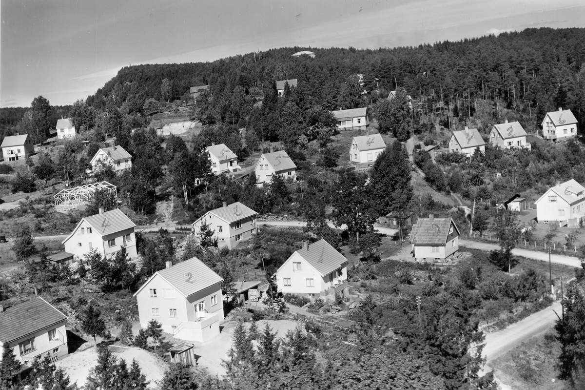 Flyfotoarkiv fra Fjellanger Widerøe AS, fra Porsgrunn Kommune. Løvsjø Heistad. Fotografert 08.08.1959. Fotograf J Kruse