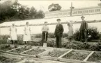 Vykort med motiv över Svartviks trädgård. Enligt texten på baksidan: 27/6 1925