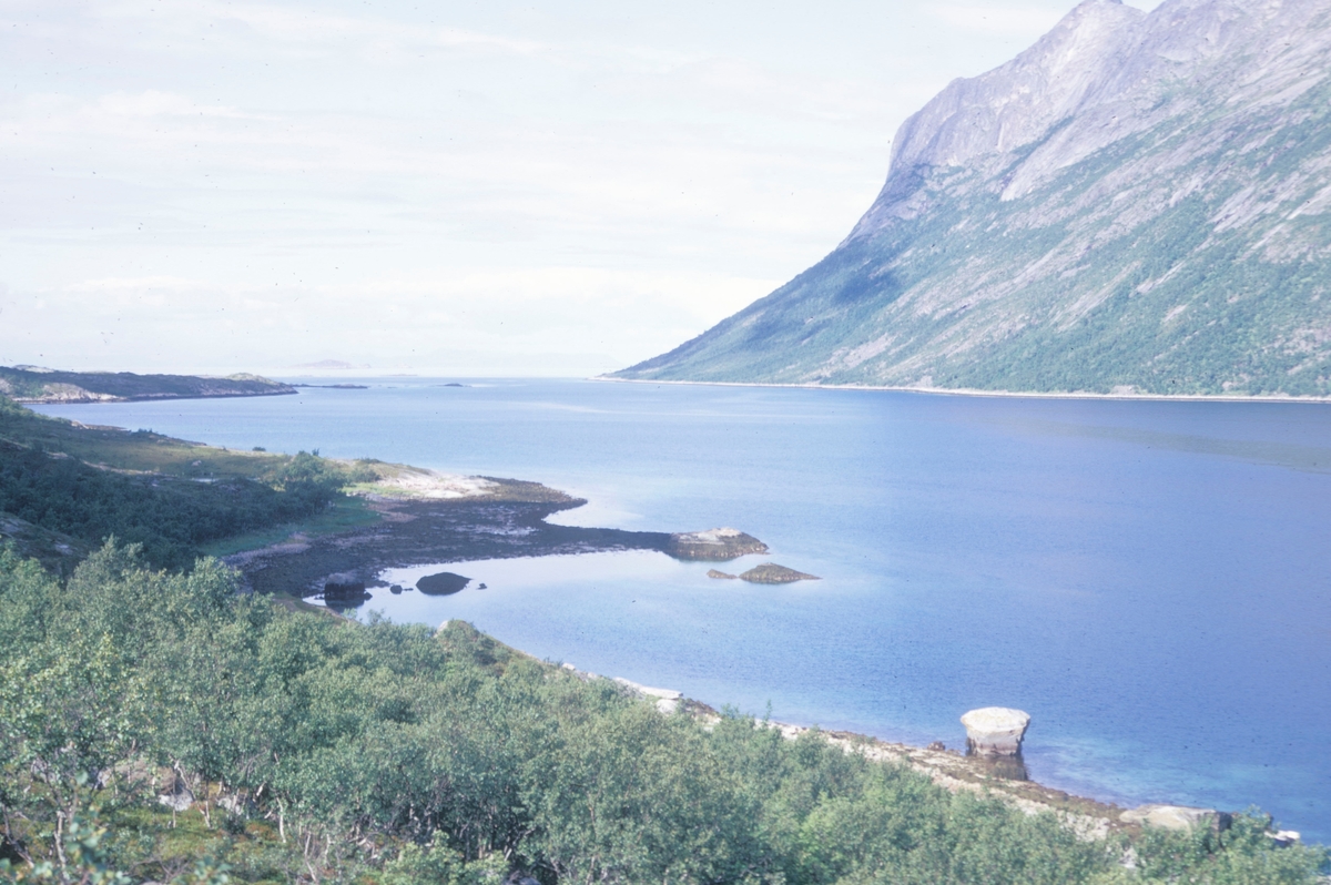 Torsken 1972, Fiskeoppdrett, Flakstadvåg : Foto fra Indre Selfjord, Senja. I bakgrunnen åpner fjorden seg ut mot havet. Flakkstad fiskeoppdrett hadde et oppdrettsanlegg her.