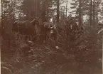 Elever vid Kavalleriskolan i skogen vid Koddis, Umeå.