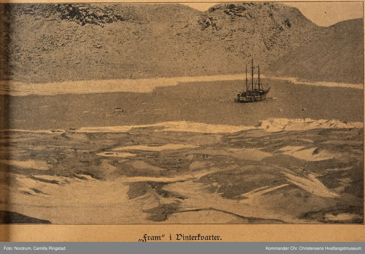 Innrammet avisside med fire forskjellige bilder.