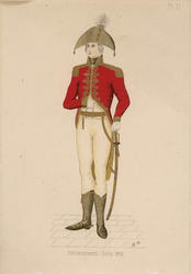 En stiftamtmann i gallauniform [papirkunst]